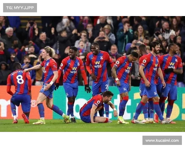 英超联赛：水晶宫安德森防守关键